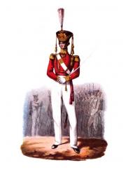 83rd Regiment Canada Fighting Island