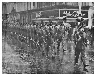 Belfast Borneo Sarawak