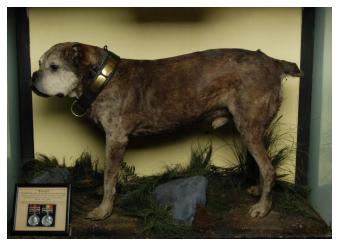 Billy Botha 2 RIR Royal Irish Rifles