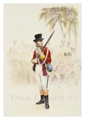 Adjutant, 83rd Regiment of Foot - Jamaica, Maroon War, 1795
