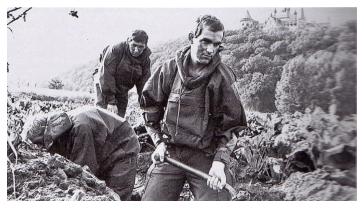 5 (V) R IRISH digging in on the River Leine below Schloss Marienburg, 1980.