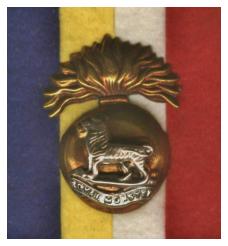 Royal Munster Fusiliers